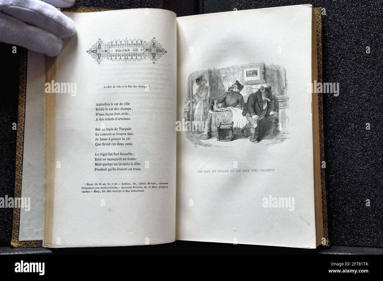 Mausmuseum Stockfotos Und Bilder Kaufen Alamy
