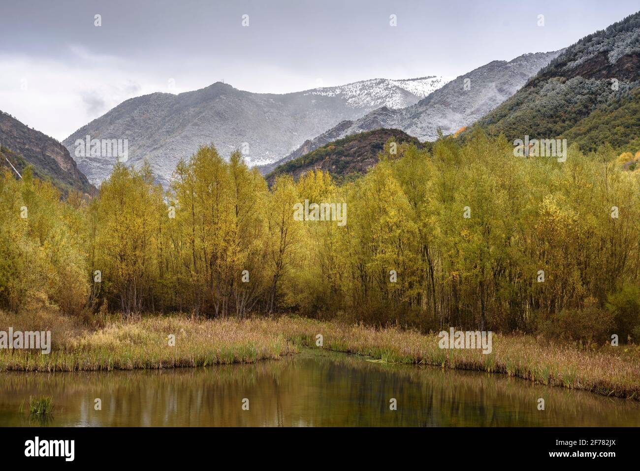 Salencar de Llesp im Herbst, an einem verschneiten Tag (Boí-Tal, Katalonien, Spanien, Pyrenäen) ESP: Salencar de Llesp en otoño, un día de nevada (Valle de Boí) Stockfoto
