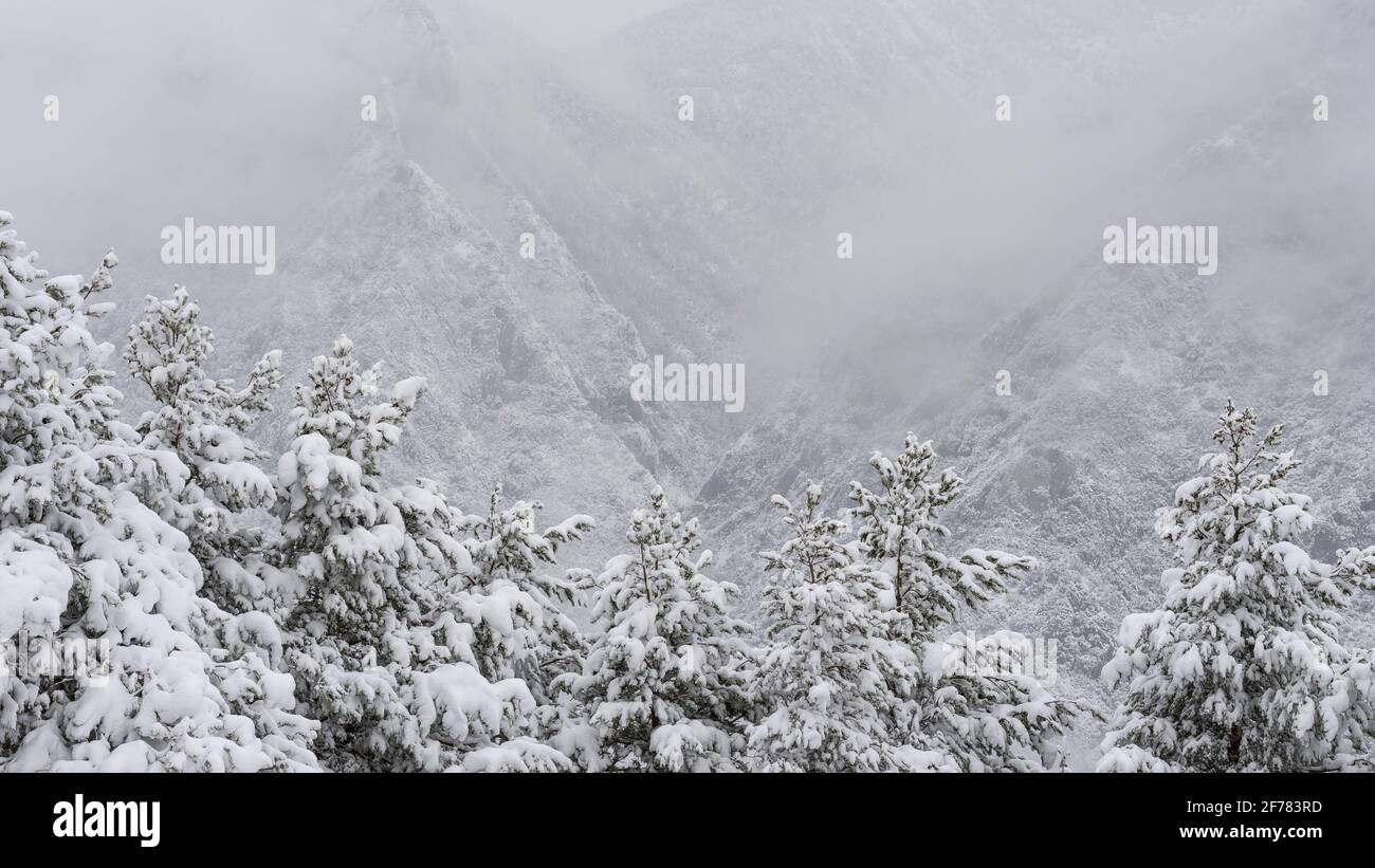 Verschneite Umgebung von Maçaners und Saldes Tal im Winter (Provinz Barcelona, Katalonien, Spanien, Pyrenäen) ESP: Entornos de Maçaners y del Pedraforca Stockfoto