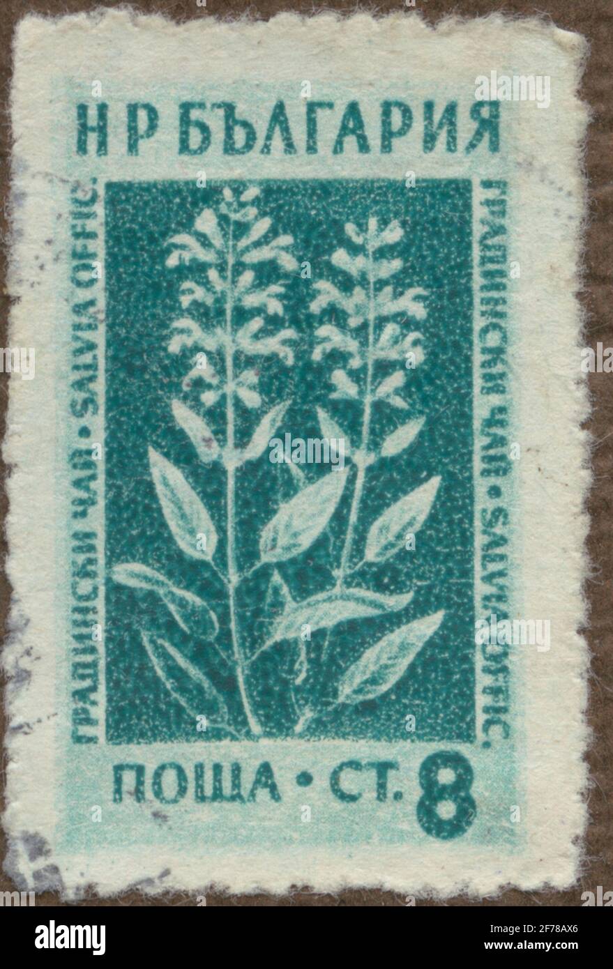 Stempel der Gösta Bodman's Philatelist-Zuordnung, begonnen 1950.die Briefmarke aus Bulgarien, 1953. Bewegung der Heilpflanze: Salvia officinalis. Stockfoto