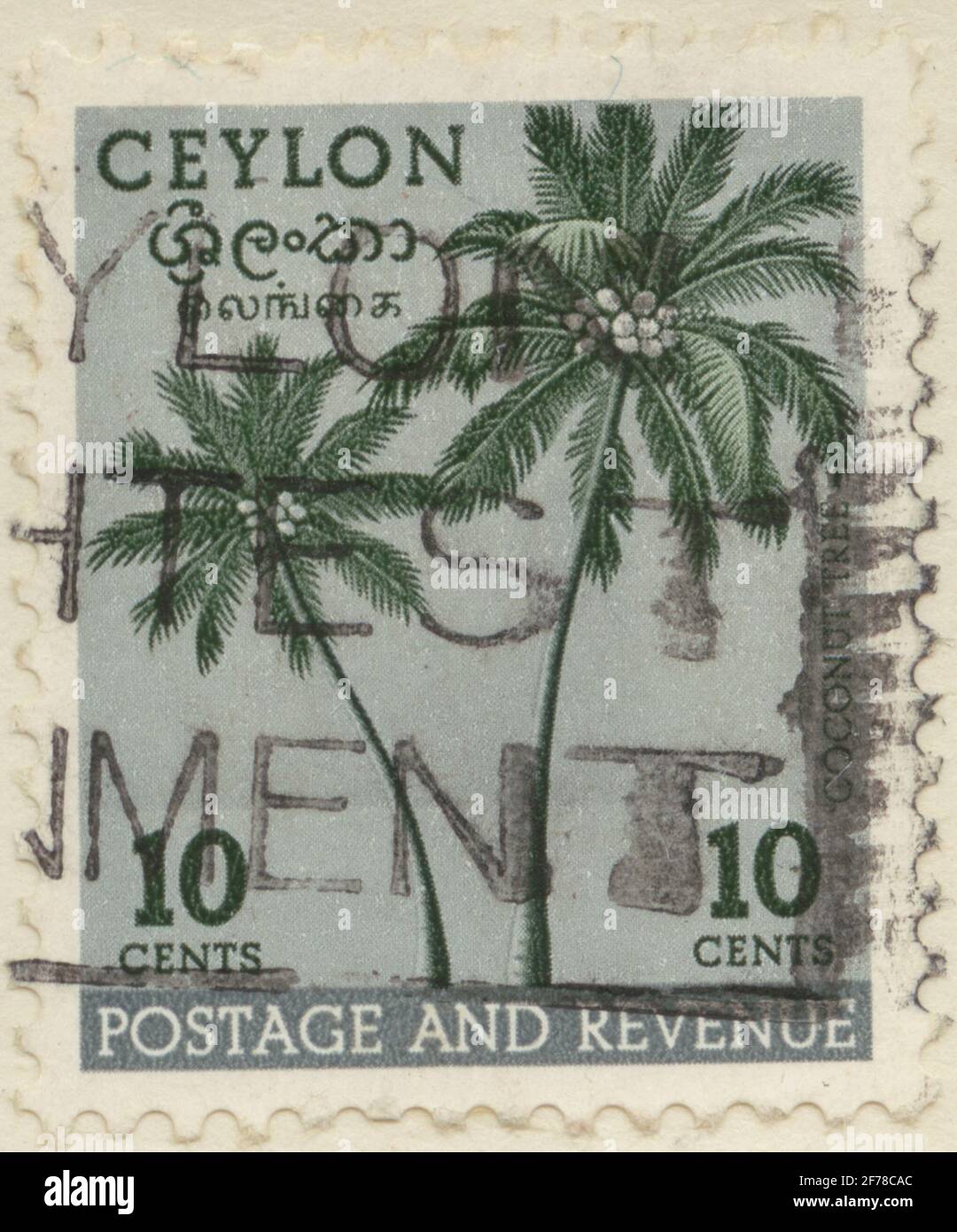 Briefmarke aus Gösta Bodmans Philatelistenauftrag, begann 1950.die Briefmarke aus Ceylon, 1951. Motive von Kokospalmen. Stockfoto