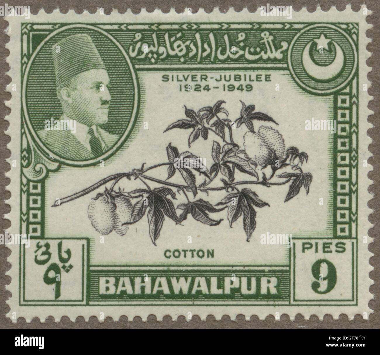 Die Briefmarke der philatelistischen Motivsammlung von Gösta Bodman begann 1950, die Briefmarke aus Bahawalpur (Pakistan), 1949. Bewegungen von Baumwollzweig mit reifer Ernte in Punjab, paylistan. TV. Amir Khan V. Stockfoto