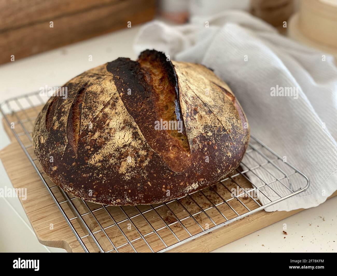 Ein Laib handwerklich hergestelltes Weizensauerteigbrot, frisch gebacken auf einem Backstein, dessen Kruste immer noch knistert Stockfoto