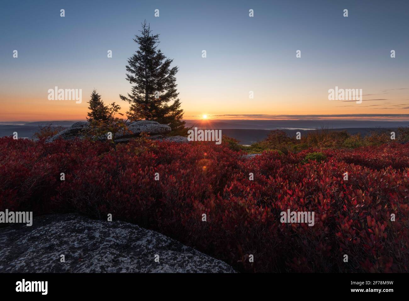 Sonnenaufgang über dem Horizont an einem frühen Oktobermorgen von der Dolly Sods Wilderness an der Appalachian Front in West Virginia. Stockfoto