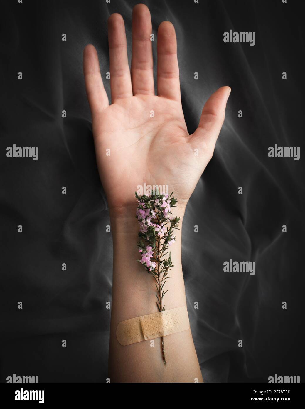 Nahaufnahme der offenen Hand der Frau mit Blumen, die auf ihrem Unterarm mit einem klebenden Verband auf einem zerknittert dunklen Stoffhintergrund befestigt sind. Heilungskonzept Stockfoto