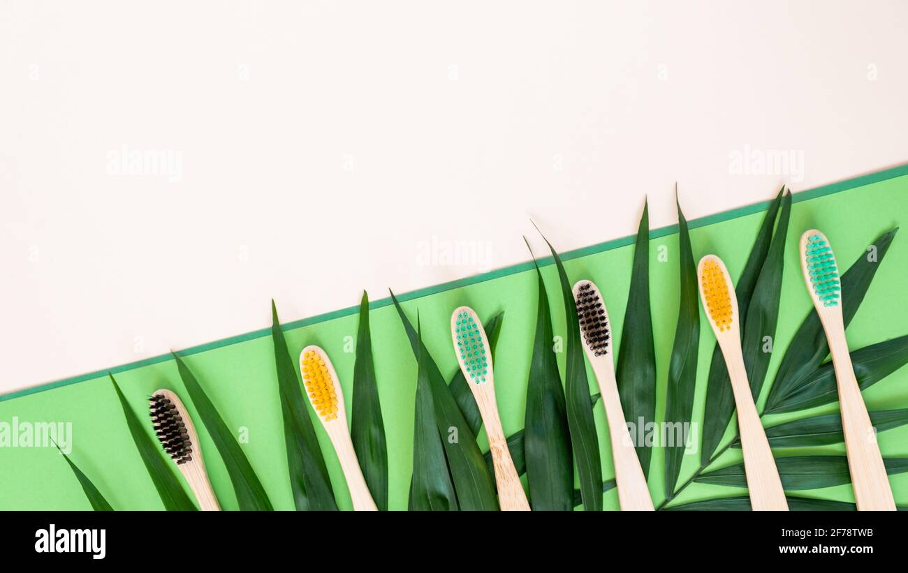 Umweltfreundliche Bambuszahnbürsten und Palmblätter auf pastellbeige und grünem Hintergrund. Bunte natürliche Zahnbürsten aus Holz als Kunststoff-freie Zahnbürste Stockfoto