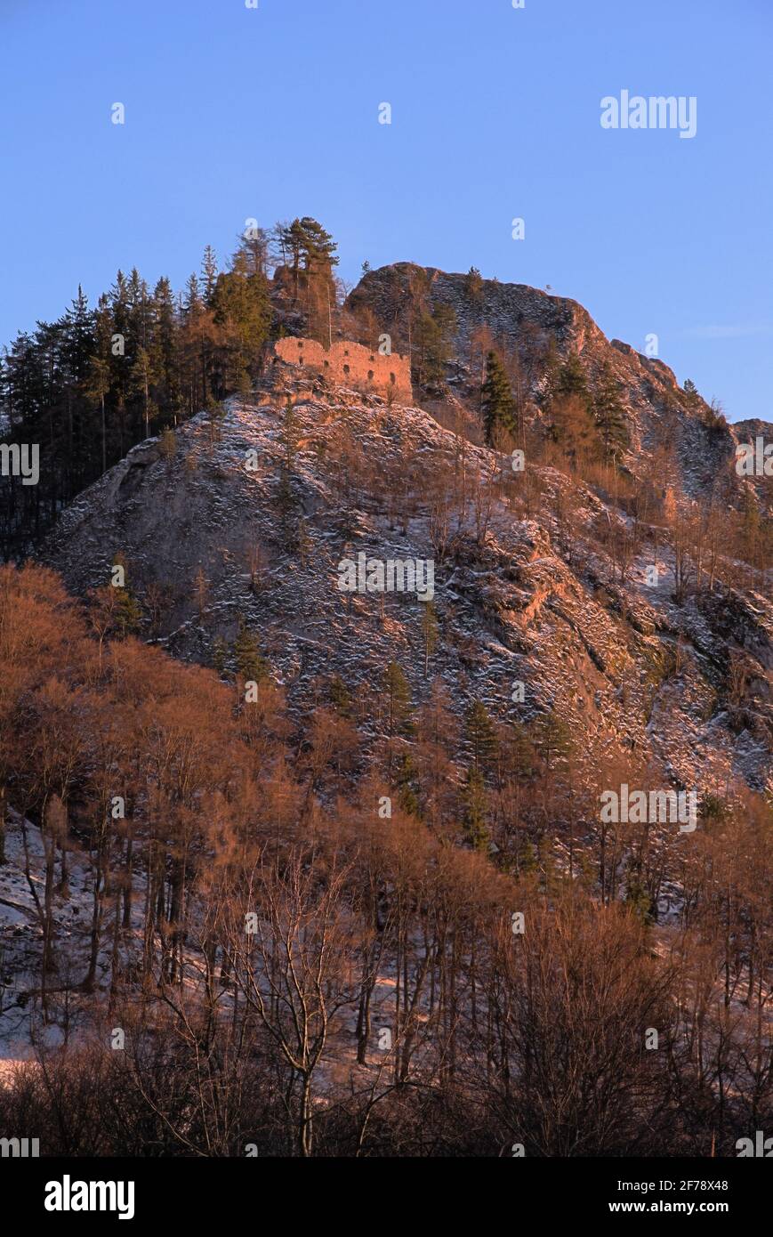 Ruinen der Burg Vrsatec im milden Winter, Slowakei, vertikales Bild Stockfoto