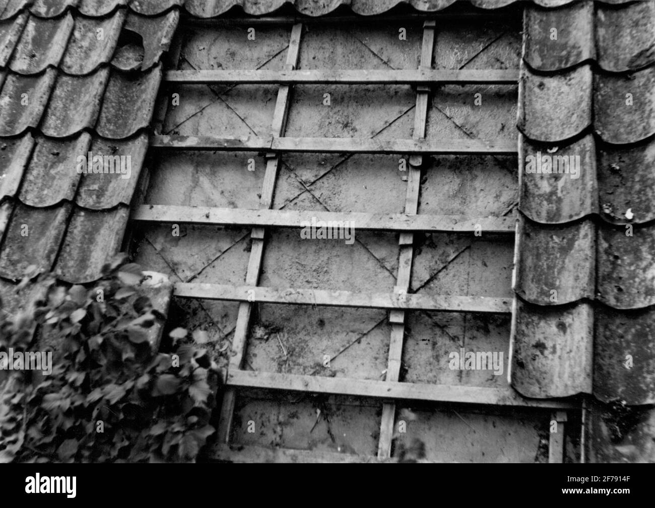Detail der Dächer auf einem Flügel Gebäude zu Zuchtfarm. Die Beschichtung unterhalb des Pace besteht aus Arvid Faxes Steinepaper.Blekinge 1950. Stockfoto