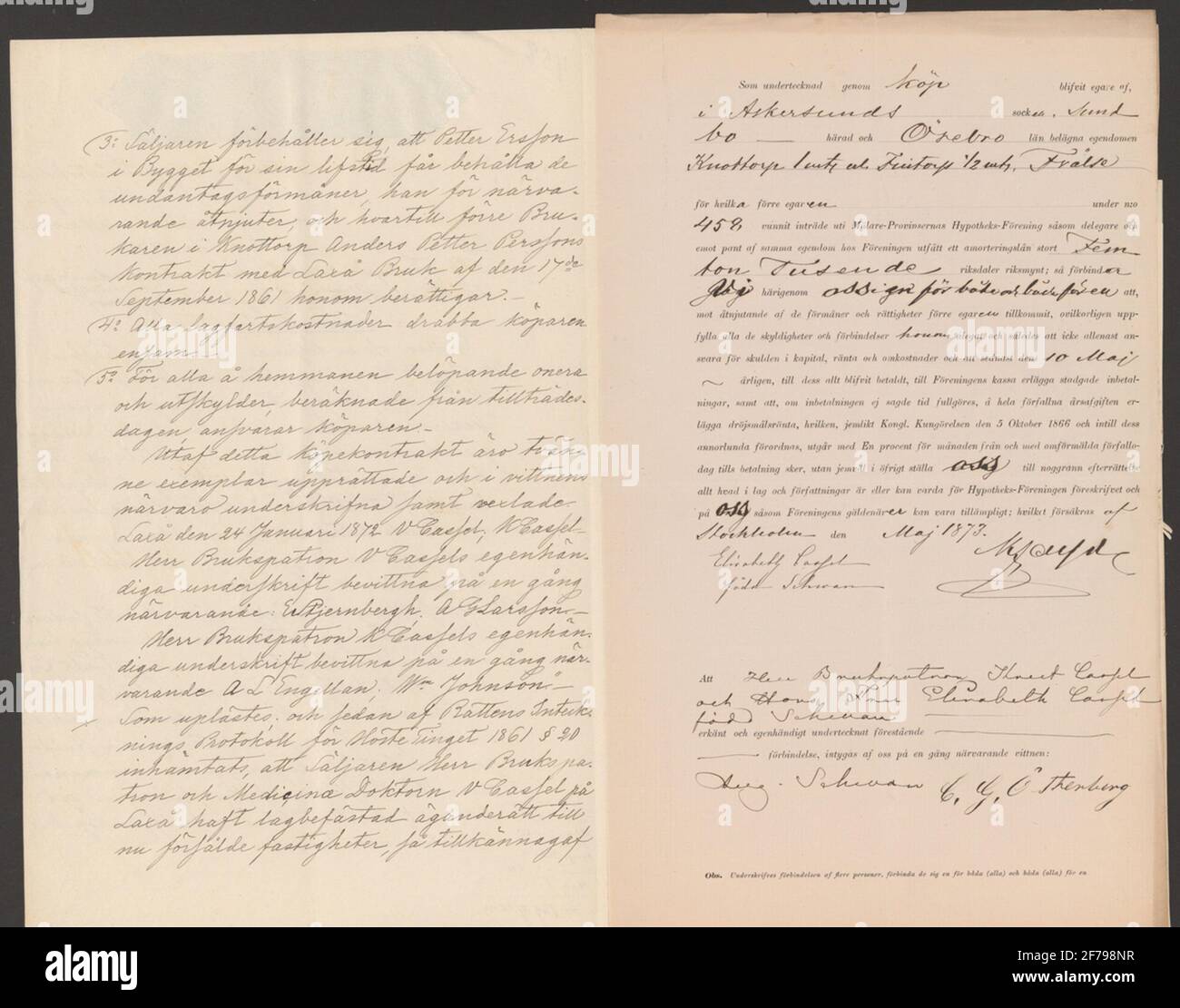 Lachsbestände.Laxå Brukskensology.ur Carl Sahlins Sammlung zur Geschichte der Berge. Stockfoto