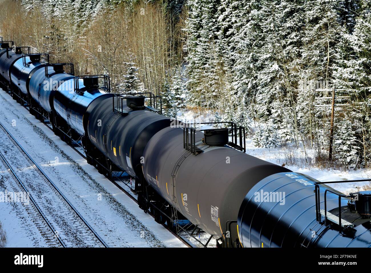 Ein kanadischer Güterzug mit Tankwagen, der in einem bewaldeten Gebiet der felsigen Berge von Alberta, Kanada, unterwegs ist. Stockfoto