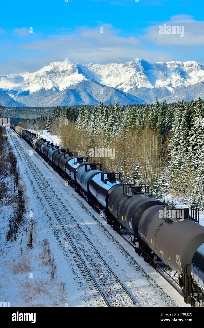 Eine vertikale Abbildung eines kanadischen Nationalzuges, der mit Tankwagen beladen ist und in einem bewaldeten Gebiet der felsigen Berge von Alberta, Kanada, unterwegs ist. Stockfoto