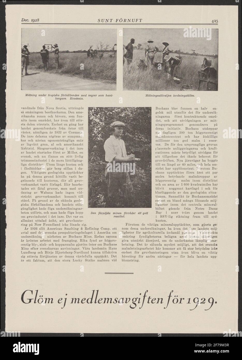 Behörden. Stockfoto