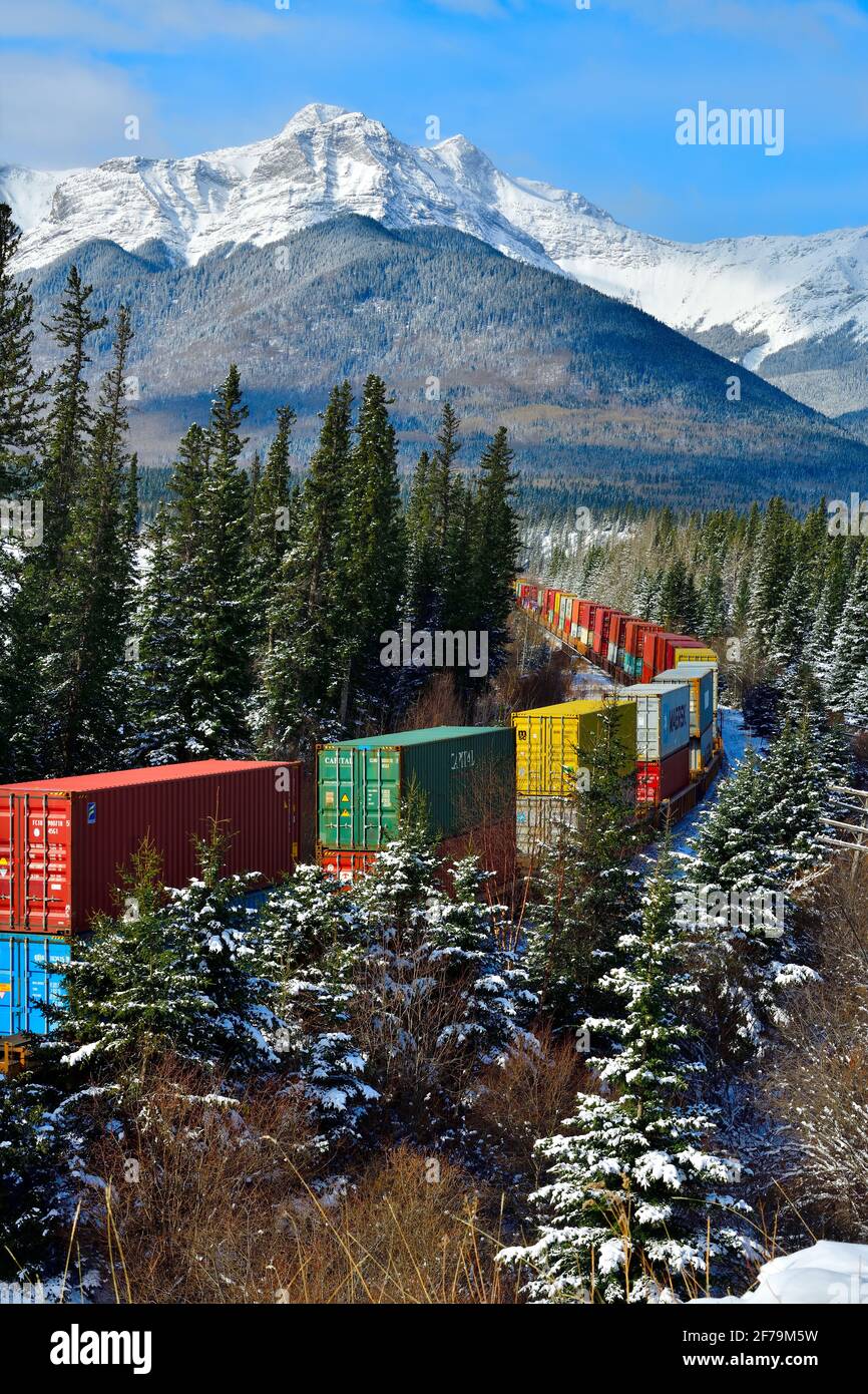 Ein kanadischer Güterzug mit einer Mischung aus Güterwagen, der durch ein Waldgebiet in den felsigen Bergen von Alberta, Kanada, fährt. Stockfoto