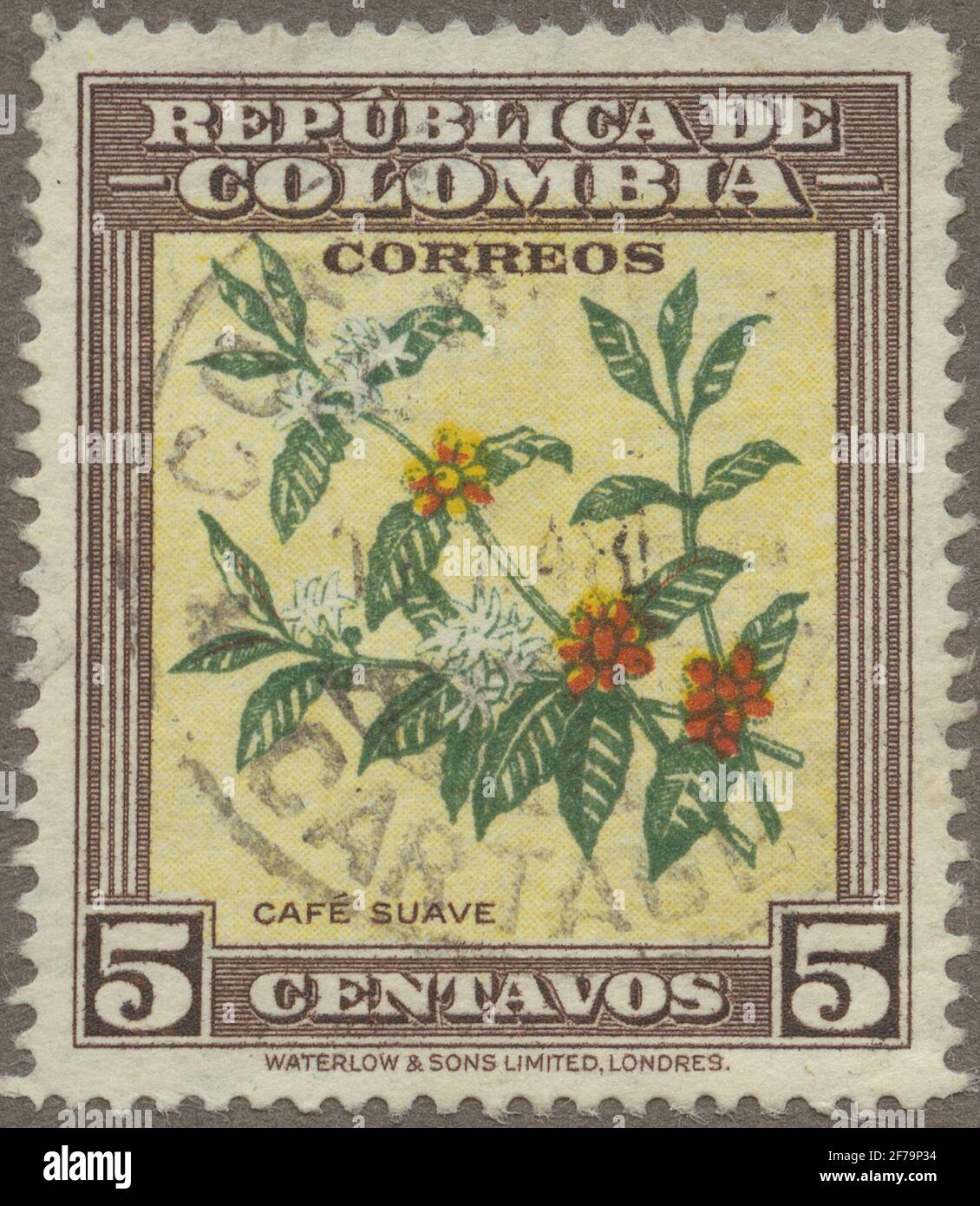 Die Briefmarke der philatelistischen Motivsammlung von Gösta Bodman begann 1950.die Briefmarke aus Kolumbien, 1947. Motiv des Kaffeekissenzweiges mit Blumen und Früchten. Stockfoto