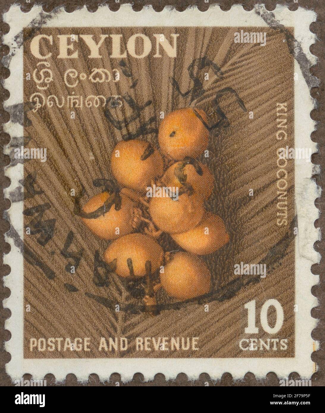 Die Briefmarke der philatelistischen Motivsammlung von Gösta Bodman begann 1950.die Briefmarke aus Ceylon, 1954. Motive der sogenannten 'König'-Kokosnuss. Stockfoto