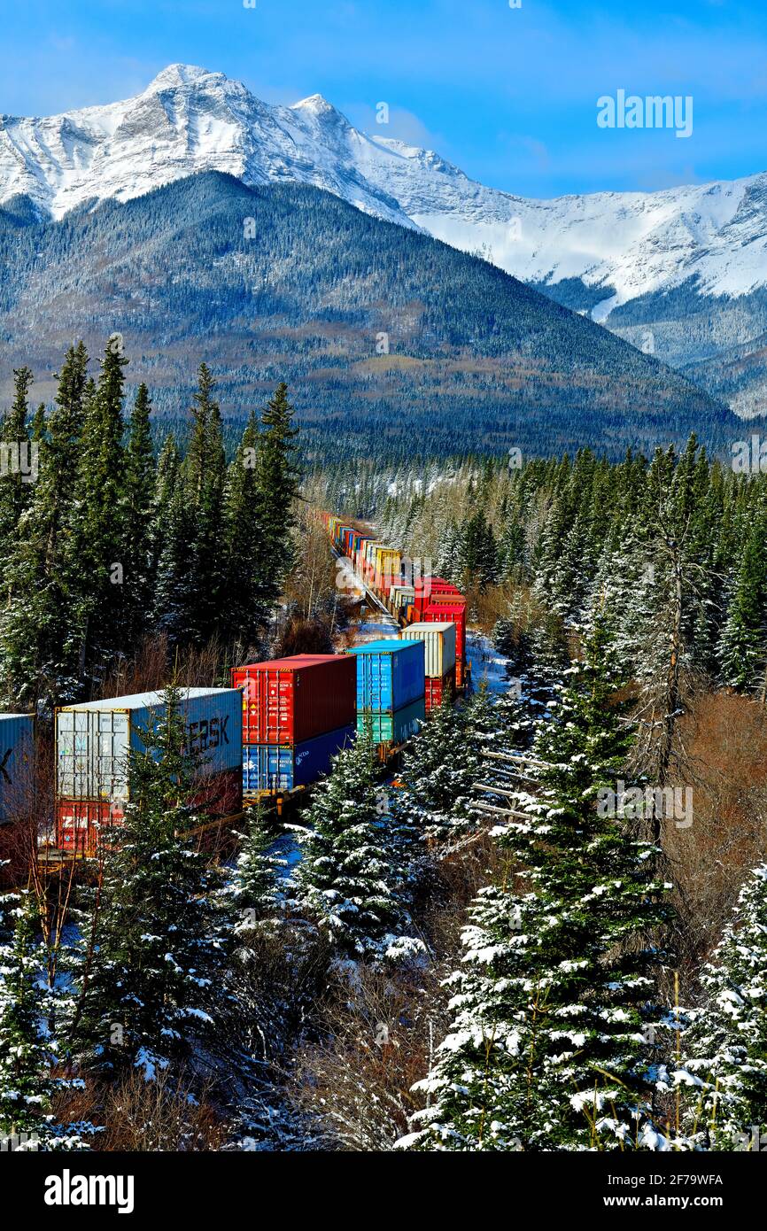 Ein mit Containern beladener kanadischer Güterzug fährt um eine Ecke in einem bewaldeten Gebiet der felsigen Berge von Alberta Canada. Stockfoto