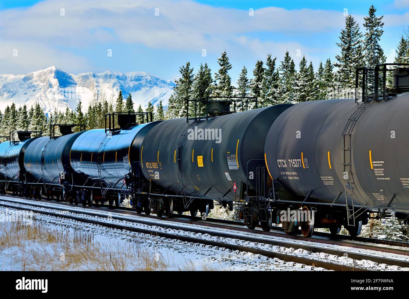 Auf den kommenden Verkehr in einem bewaldeten Gebiet der felsigen Berge von Alberta Canada wartet ein kanadischer Güterzug, der mit Tankwagen beladen ist. Stockfoto