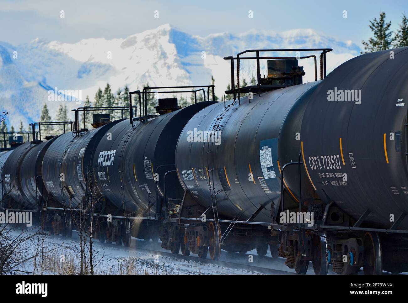 Ein kanadischer Güterzug mit Tankwagen, der in einem bewaldeten Gebiet der felsigen Berge von Alberta, Kanada, unterwegs ist. Stockfoto