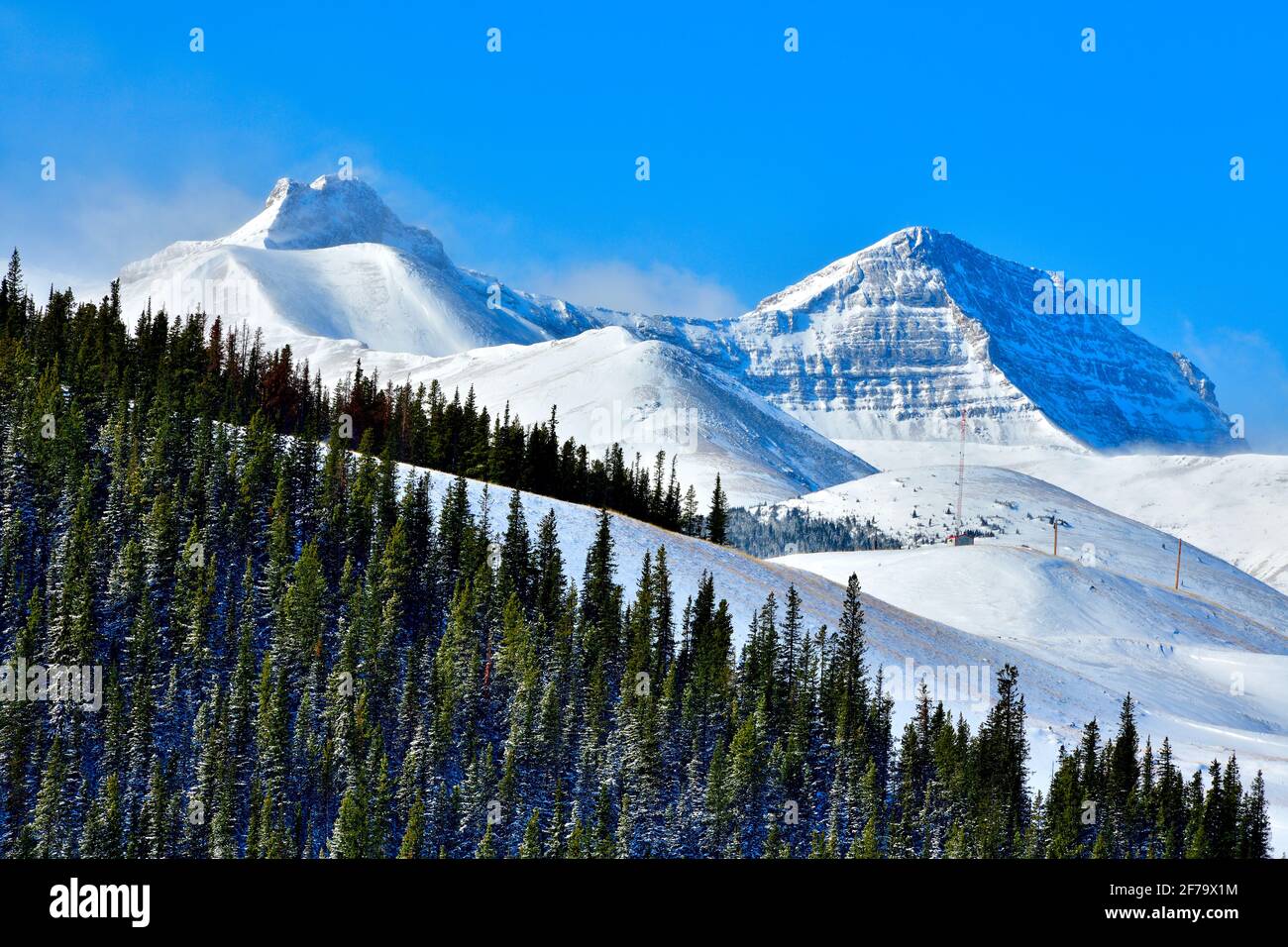 Eine Winterlandschaft mit schneebedeckten felsigen Bergen mit grünen Fichten im Vordergrund im ländlichen Alberta Canada. Stockfoto