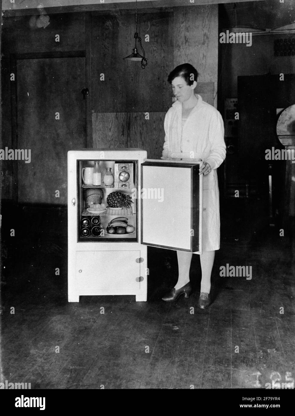 Das Labor von Electrolux. Babyeinheit. Ein kompletter Kühlschrank mit Obst und Getränken. Auf dem Bild ist eine weibliche Demonstratorin zu sehen. Stockfoto