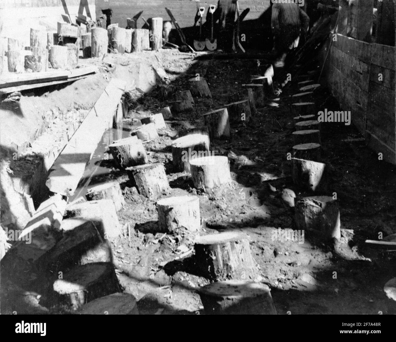 Bauherr: Bauunternehmen Contractor, Stockholm. Stapel zum Gießen geschnitten. Stockfoto