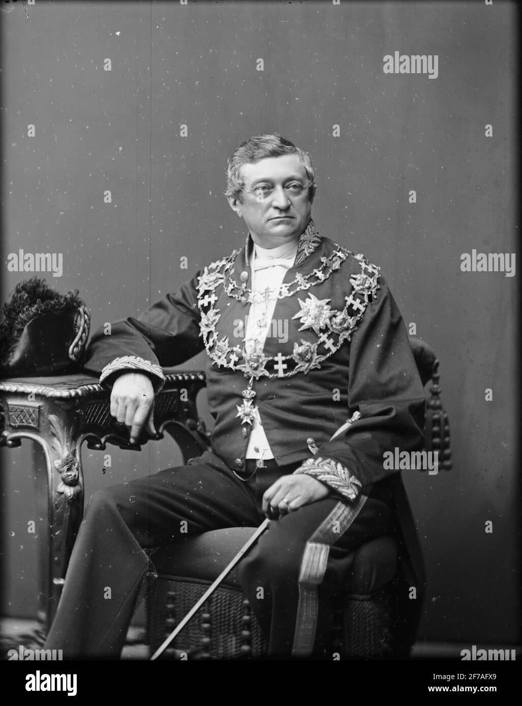 Porträt des Bestandes. Stockfoto