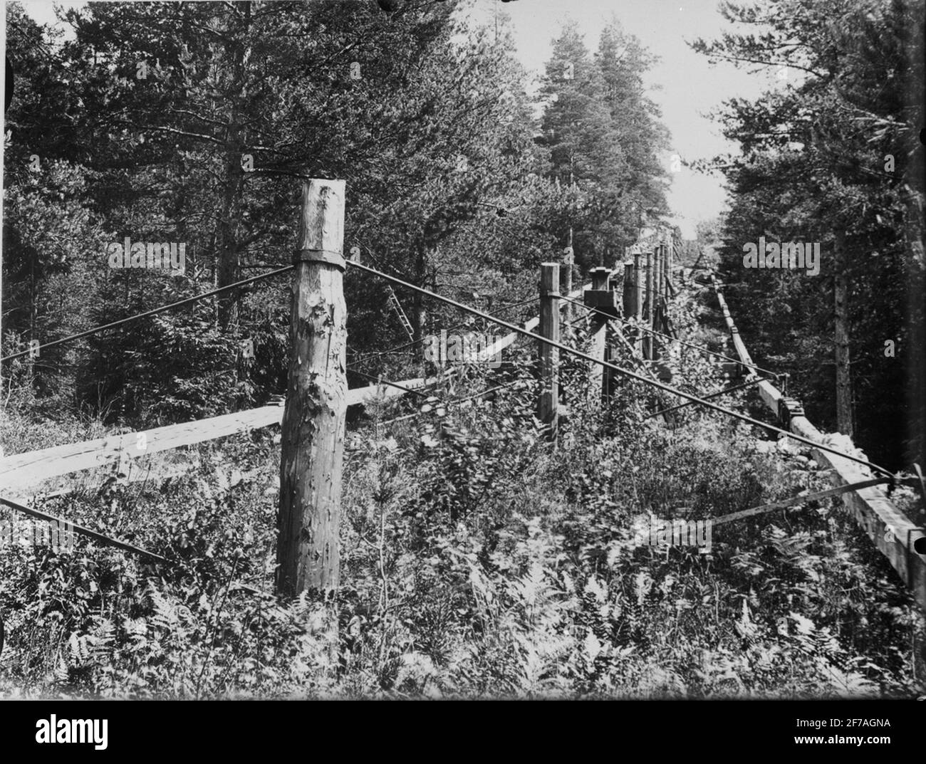 Artisome. Entstreifen Sie mir. Stockfoto