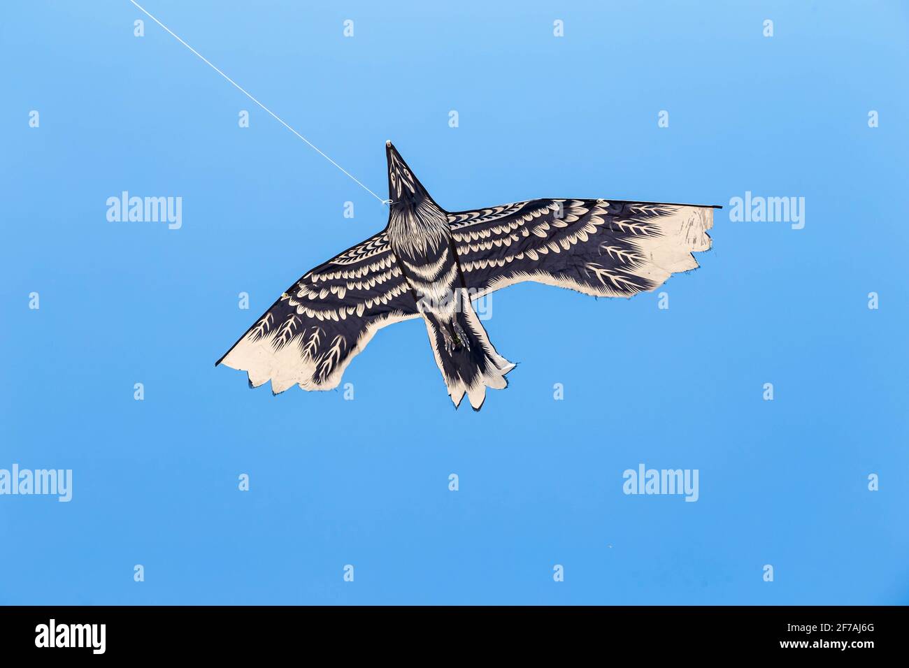 Farbenfrohe chinesische Drachen fliegen am blauen Himmel. Stockfoto