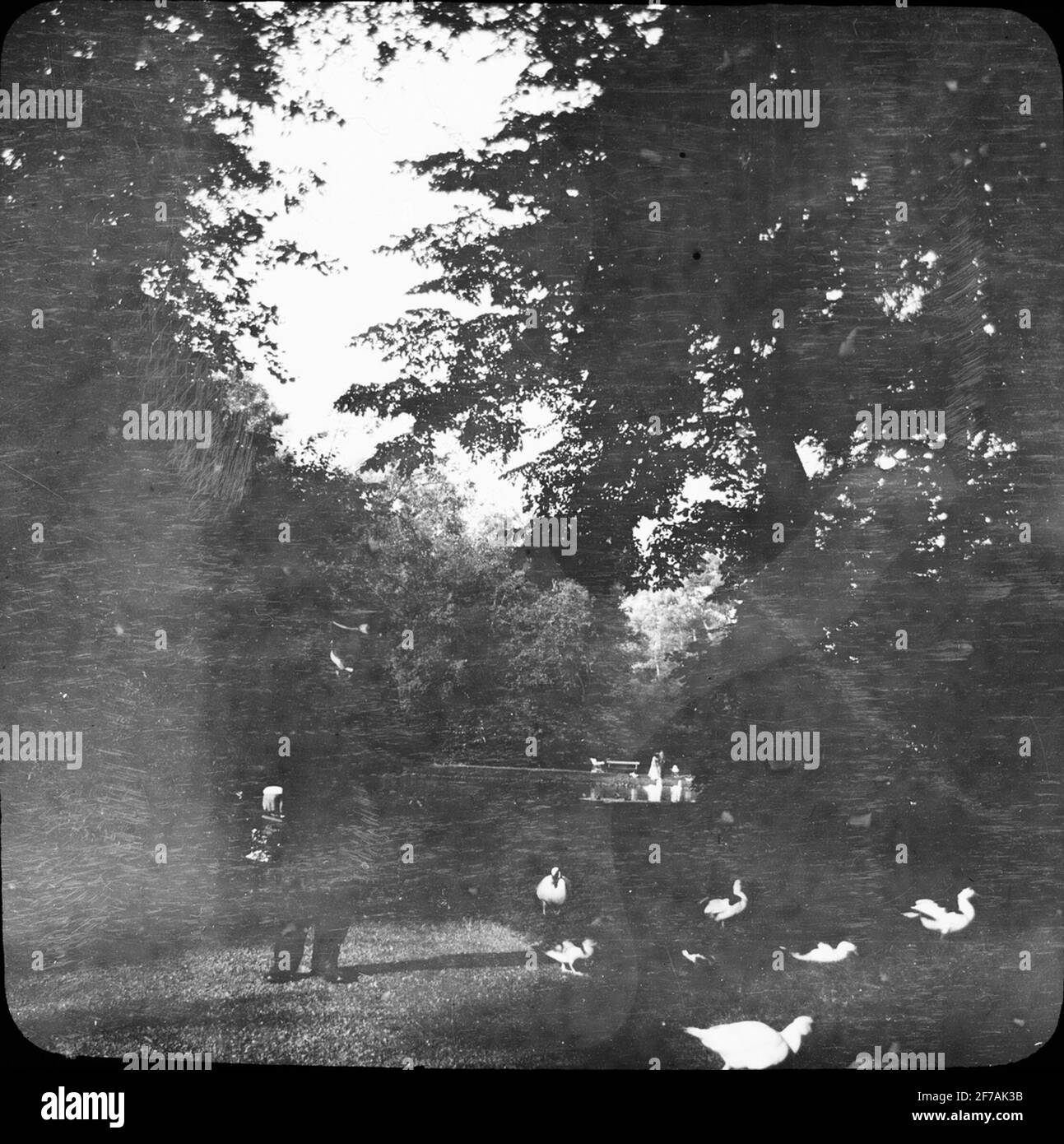 SkiopT Ikonenbild mit Motiven Mensch, Fahrer, im Schwarzwald mit Enten im Donaueschingen.das Bild ist in Karton mit der Aufschrift: The Journey 1908 gespeichert. Donaueschingen 7. XV. Ein großer Teil der Stadt wurde 1908 bei einem Brand zerstört. Stockfoto