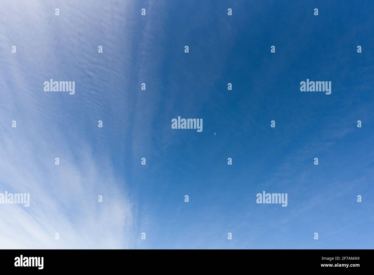 Weiße Wolkenfetzen Stockfoto