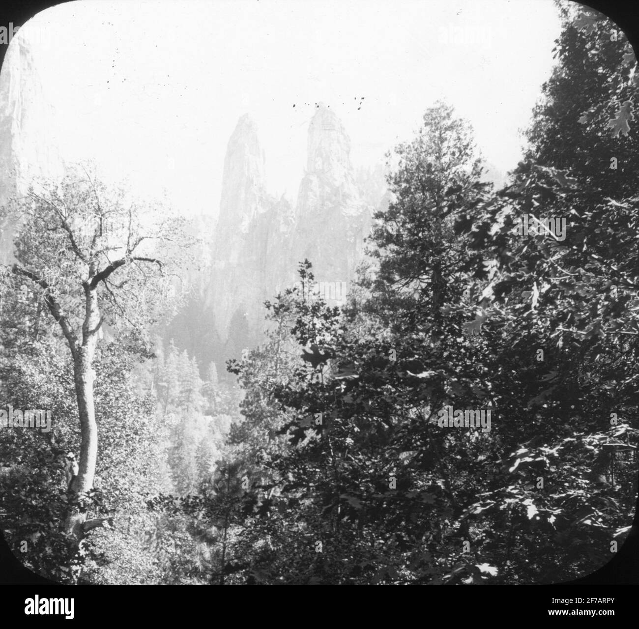 Skiopticone-Bild. Unbekannte Gesamtstruktur. Stockfoto