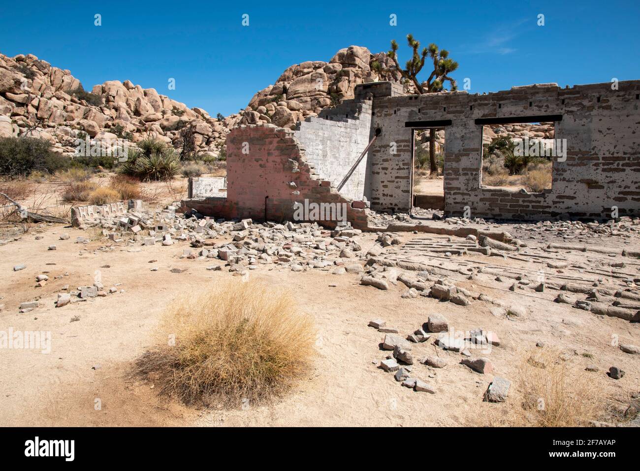 Im Joshua Tree National Park in Südkalifornien gibt es Ruinen wie dieses alte Haus in der Nähe des Barker Dam. Stockfoto