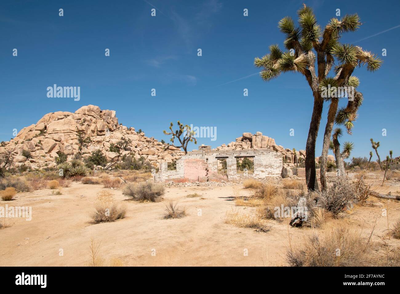 Im Joshua Tree National Park in Südkalifornien gibt es Ruinen wie dieses alte Haus in der Nähe des Barker Dam. Stockfoto