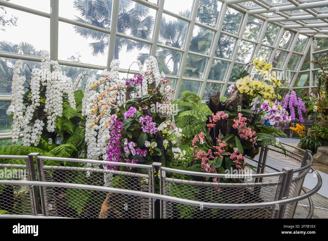 Das Innere des Sembcorp Cool House im National Orchid Garden, der mit einer Vielzahl von bunten Blumen bepflanzt ist, Singapur. Stockfoto