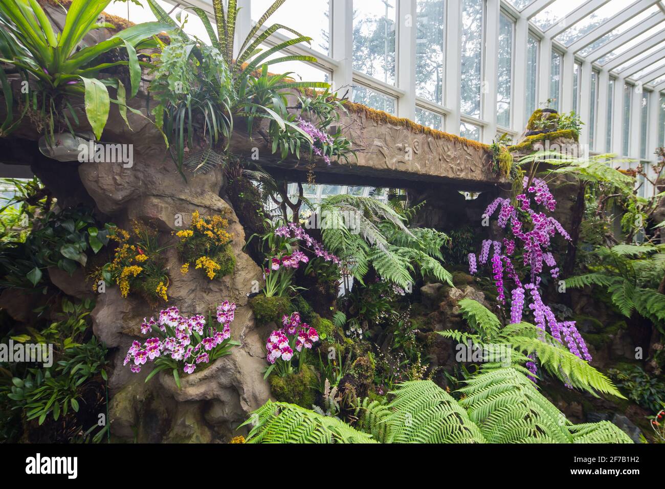 Innenarchitektur Landschaftsgestaltung des Sembcorp Cool House im National Orchid Garden, Singapur. Stockfoto