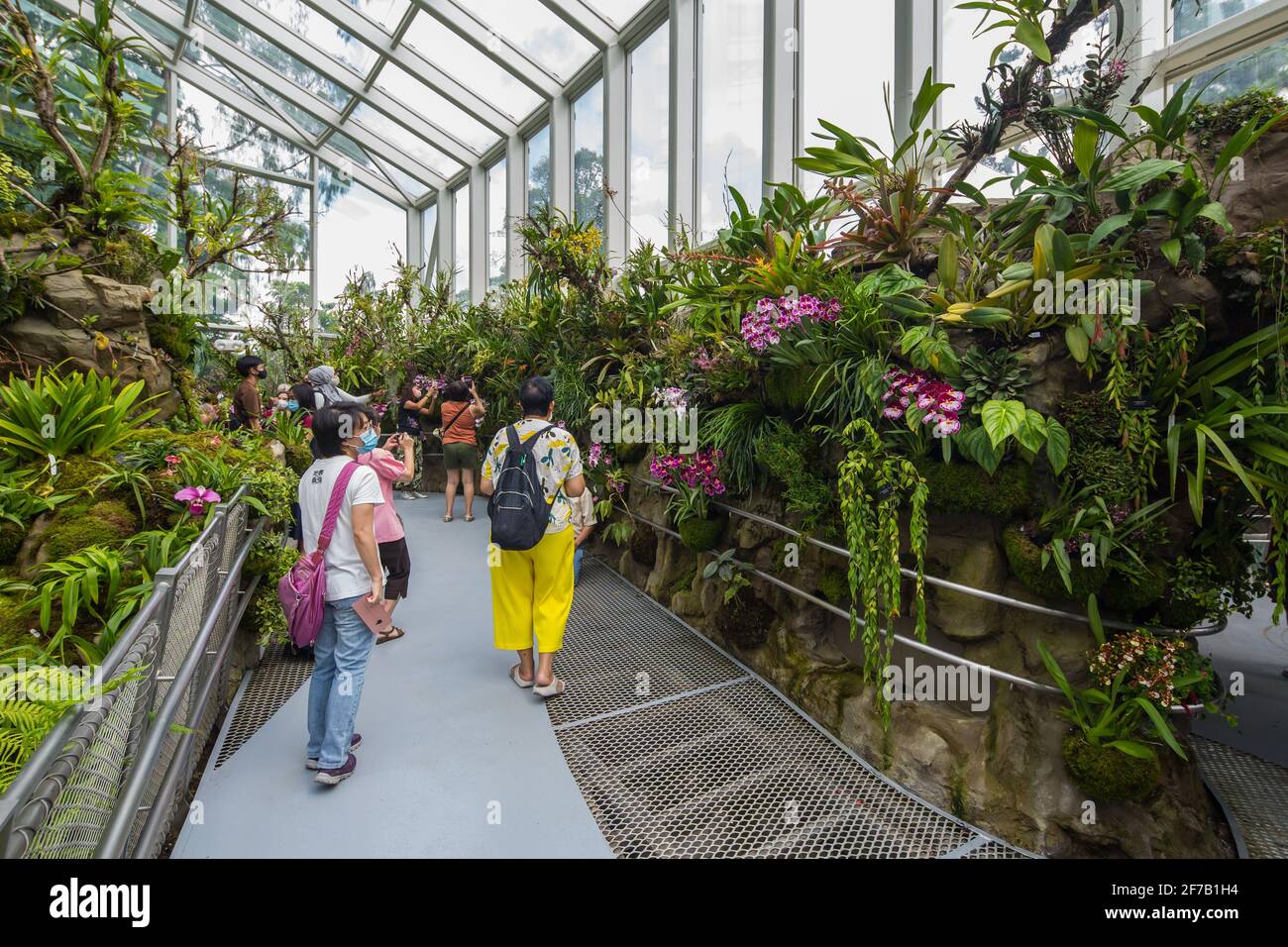Lokale Besucher genießen die hübsche Innengestaltung des Sembcorp Cool House im National Orchid Garden, Singapur. Stockfoto