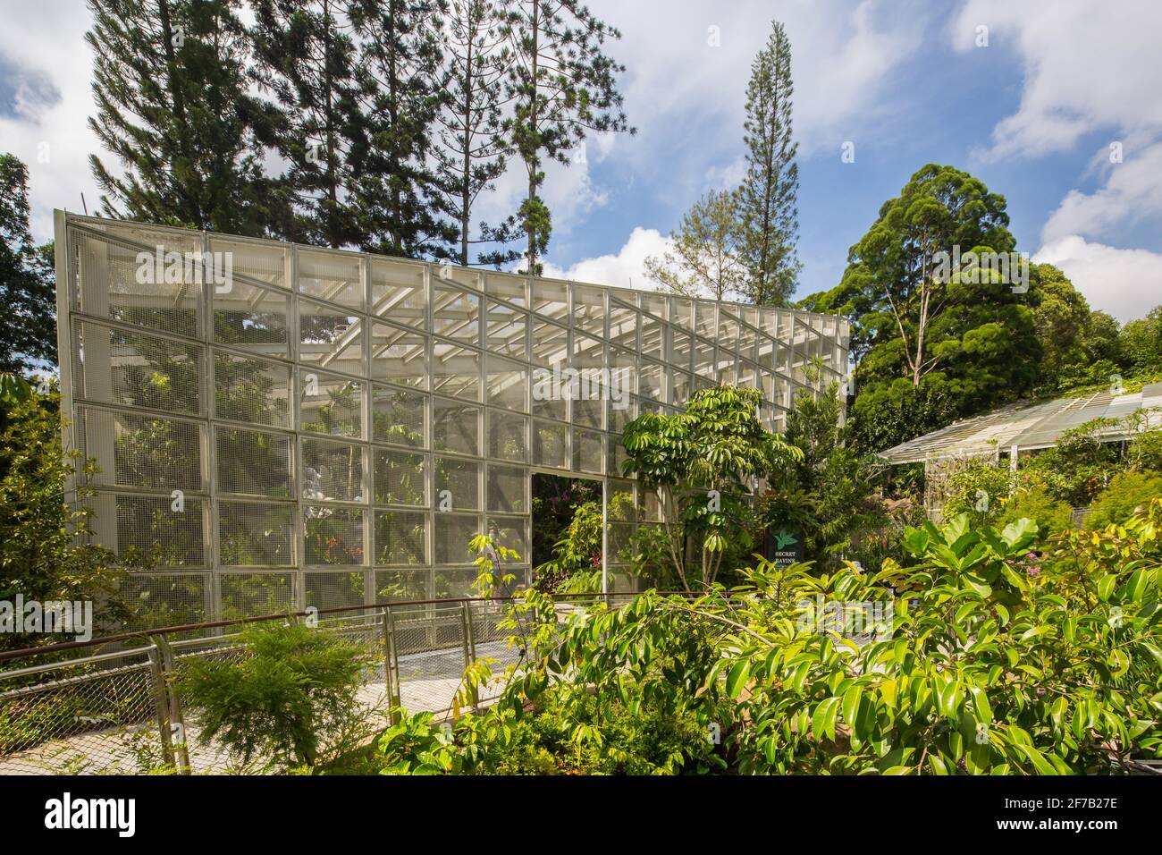 Neues Segment bei National Orchid Garden, Singapur. Stockfoto