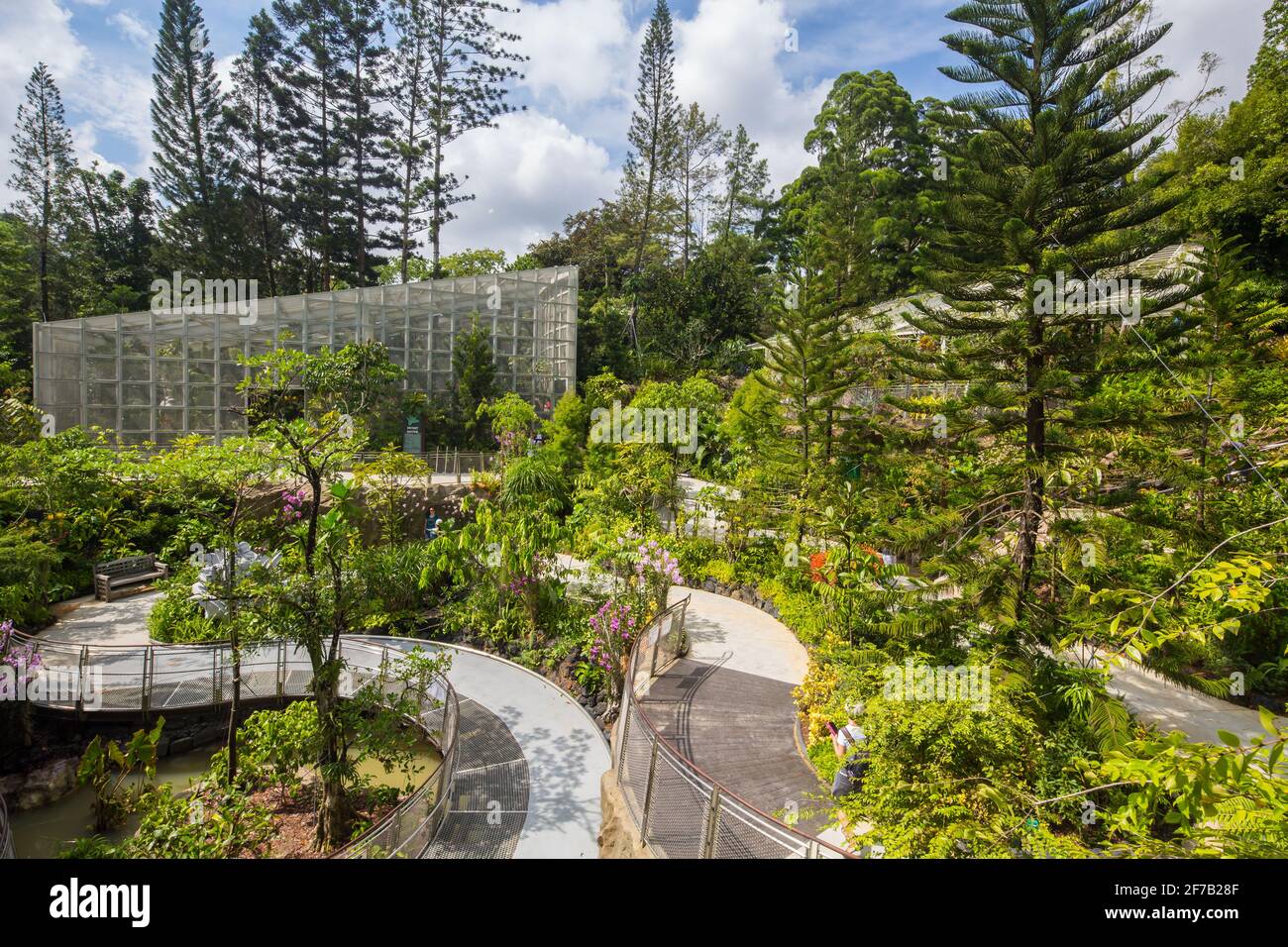 Neu erbaue Spiralbahn im National Orchid Garden, Singapur. Stockfoto