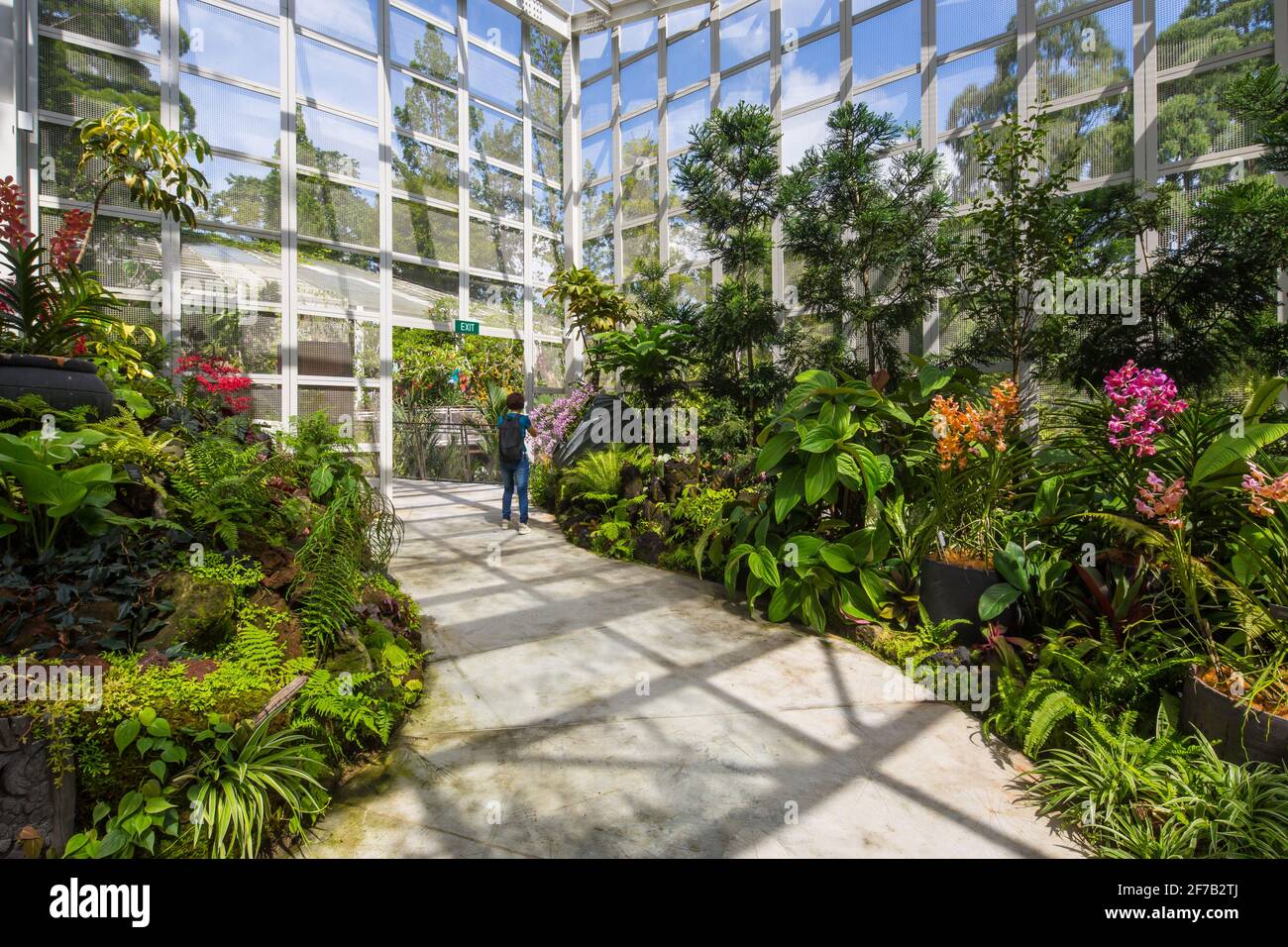 Inneneinrichtung des Tan Hoon Siang Mist House im National Orchid Garden, Singapur. Stockfoto