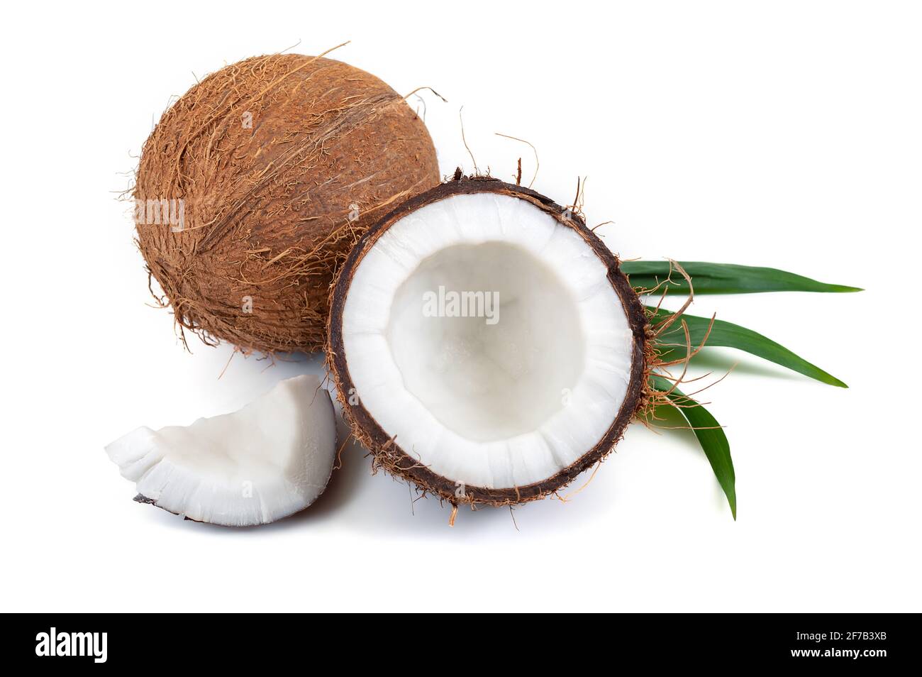 Ganze Kokosnuss, Brocken mit einem grünen tropischen Blatt auf weißem Hintergrund. Stockfoto