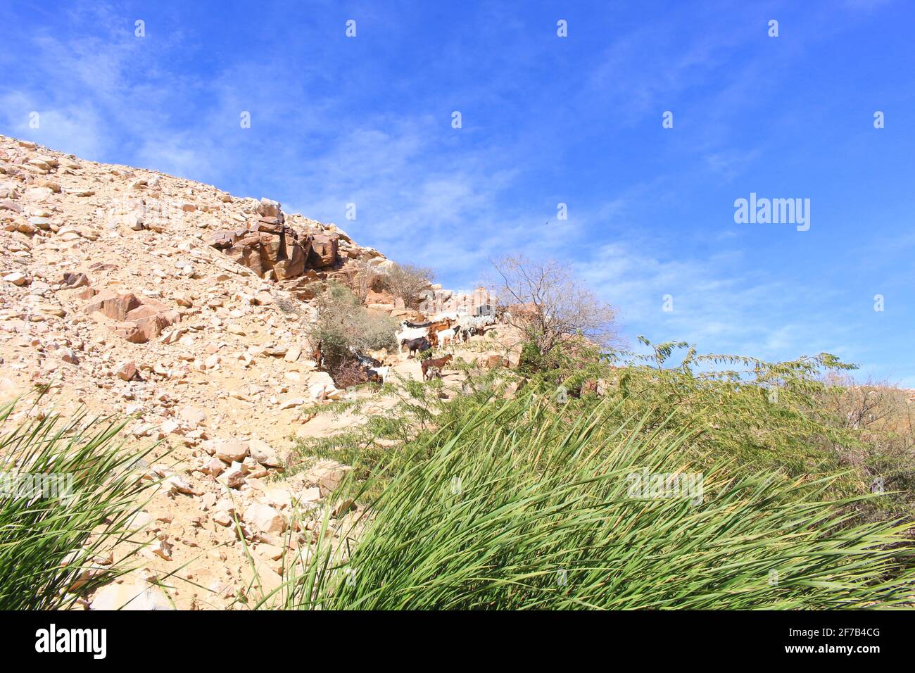 Wüste Berglandschaft saudi-arabien Stockfoto