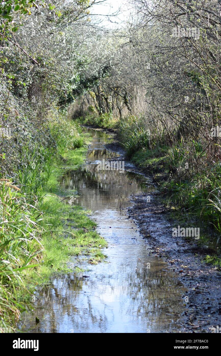 Wasserweg Auf Dem Land Stockfoto