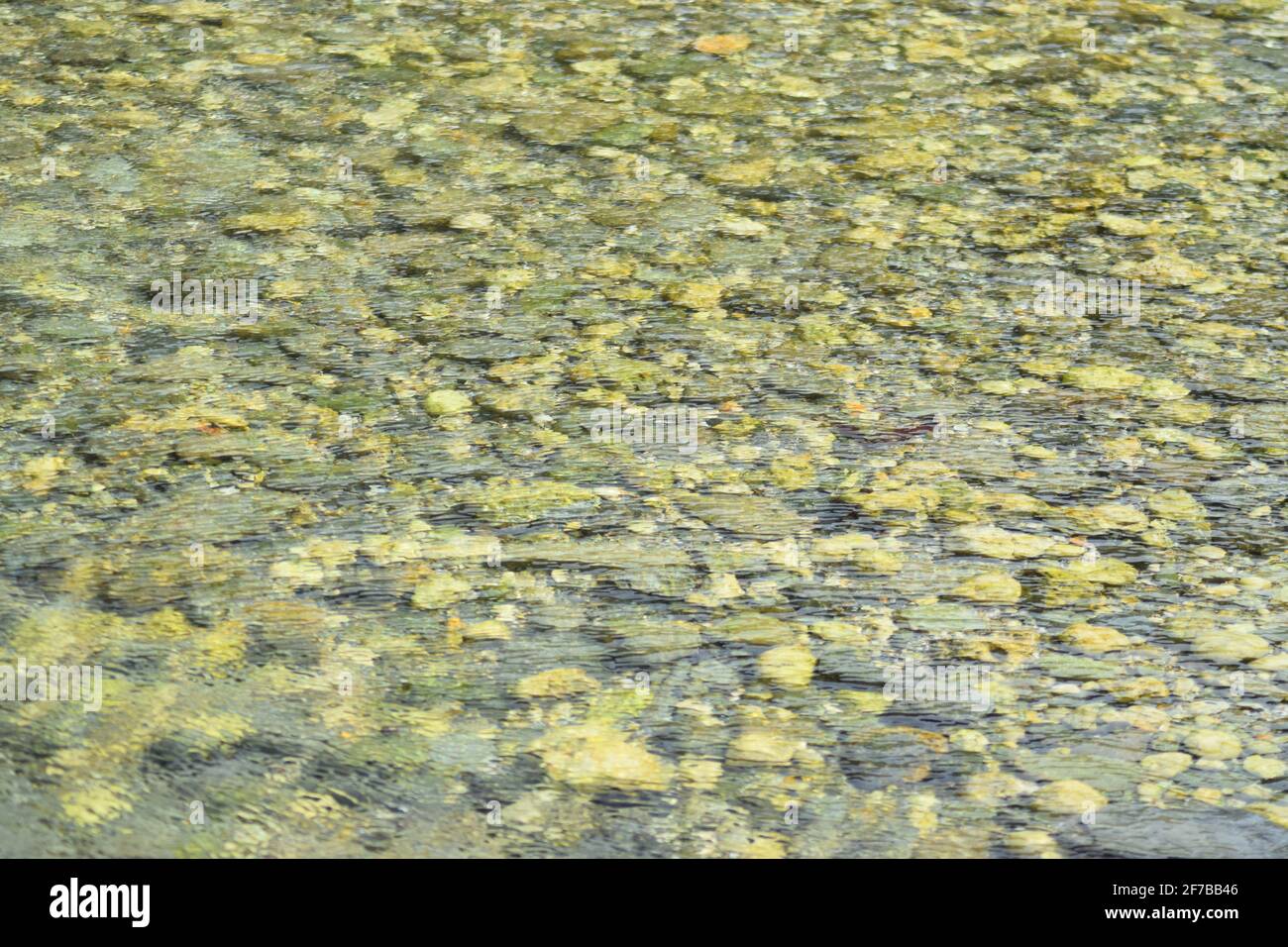 Felsen in der Wasserlandschaft Stockfoto