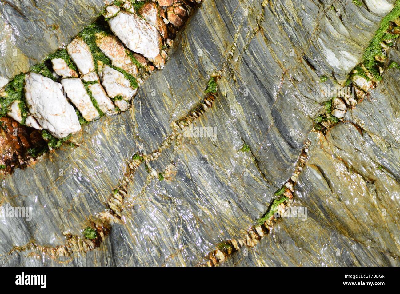 Mehrere Quarzadern in Rock #3 Stockfoto