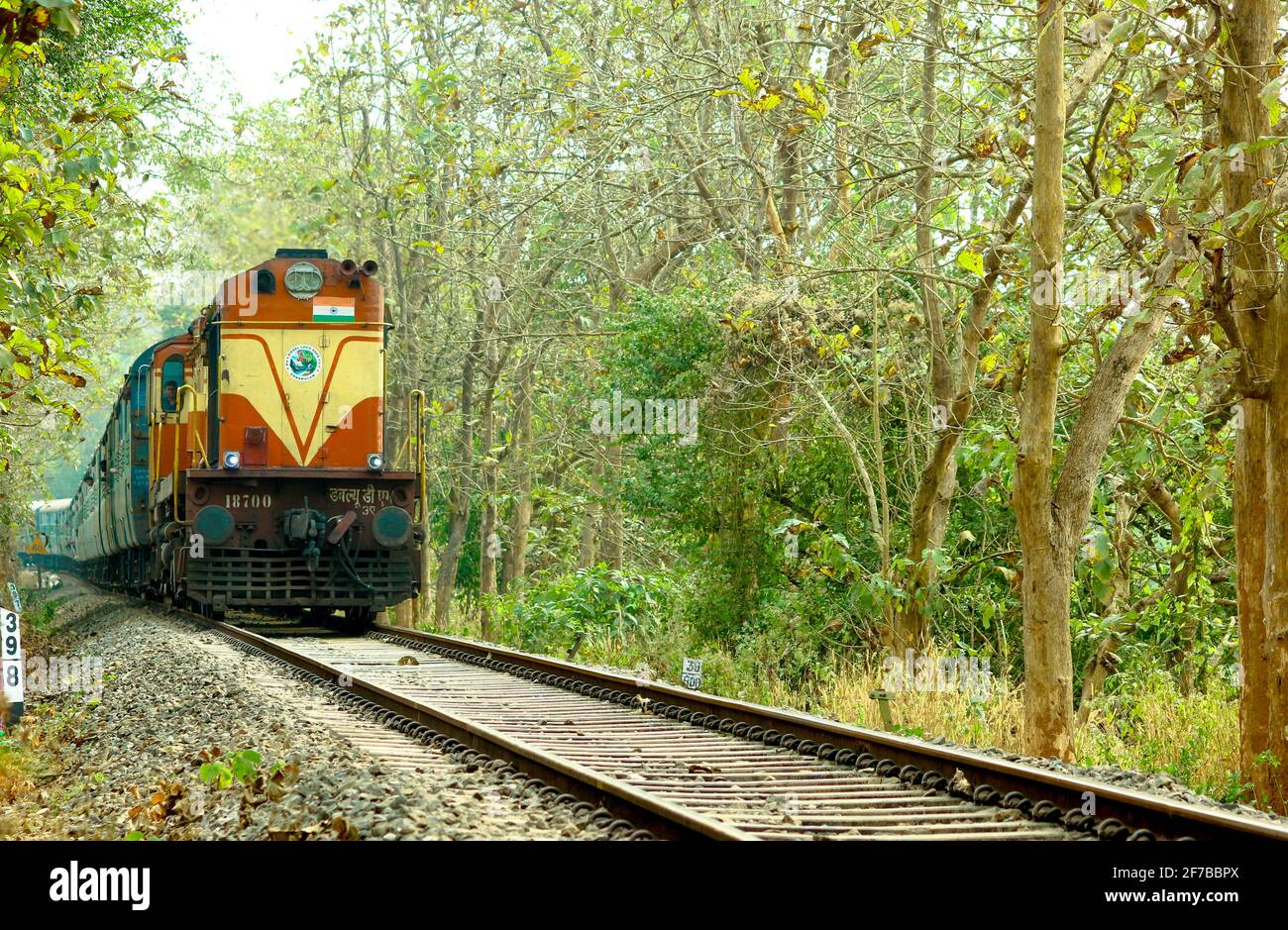 Indische Eisenbahn Stockfoto