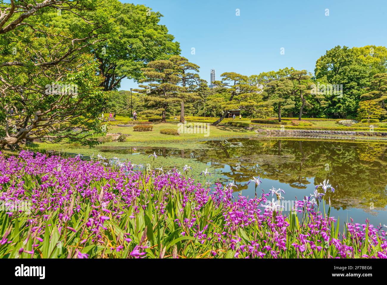 Frühlingsblumen im Ninomaru Garden in den East Gardens des Imperial Palace, Tokio, Japan Stockfoto