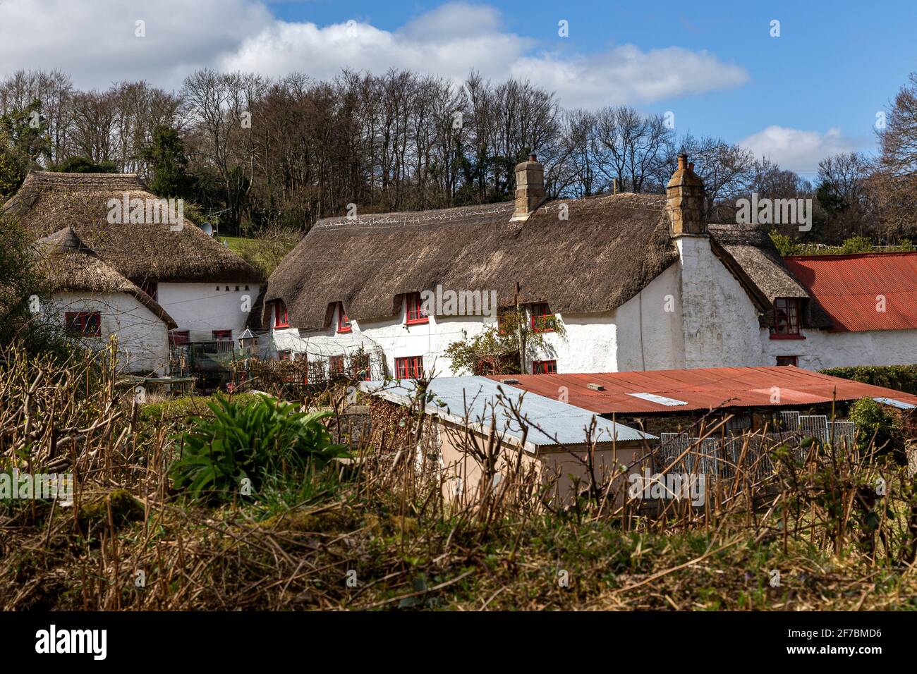 Devon Cottage, Devon, England, Reetdach, Blumenbeet, Haus, Architektur, Schönheit In Der Natur, Gebaute Struktur, Kulturen, Horizontal, Idyllisch, Stockfoto