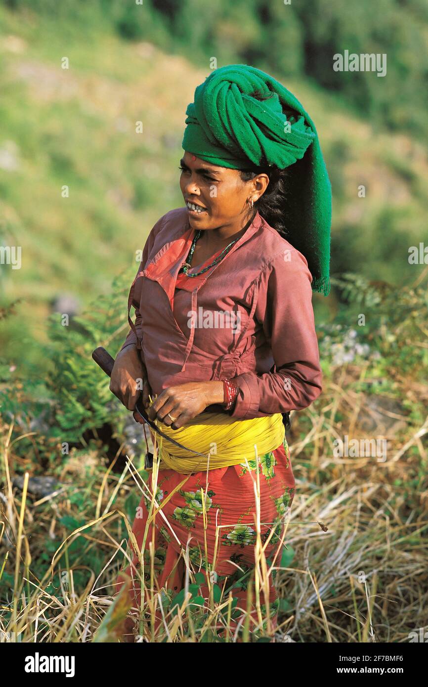 Bunt gekleidete Rai-Frau, die auf einem Feld, Nepal, Makalu Barun National Park, Seduwa, Ernte Stockfoto