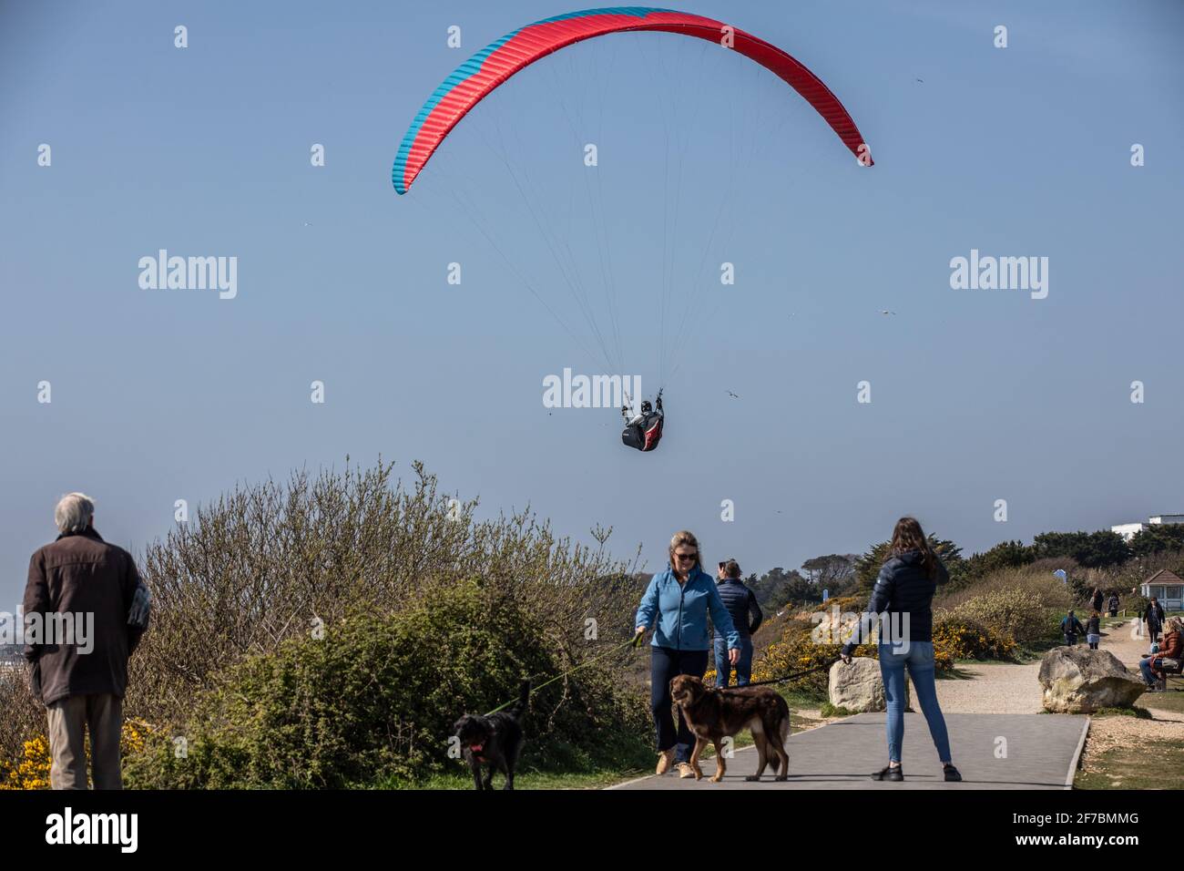 Paragleiter fliegen an einem windigen Tag entlang der Südwestküste der englischen Riviera, Dorset, England, Großbritannien, über den Strand von Highcliffe. Stockfoto