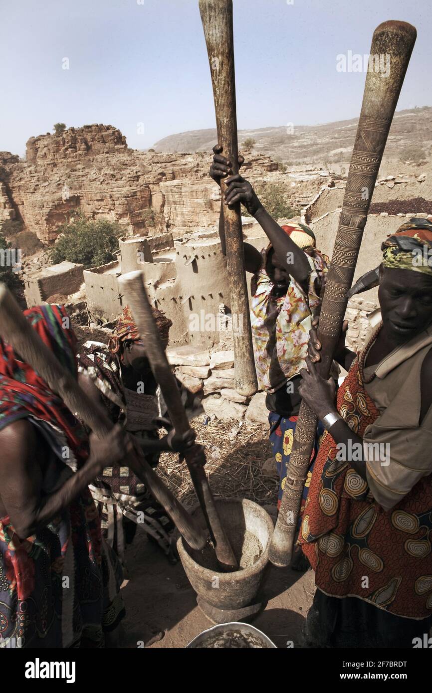 Frau hämmerte Hirse Bajara Samen in den Mörser für die Herstellung von Lebensmitteln in der Dogon Dorf KANI-KOMBOLE, , Mali , Westafrika . Stockfoto